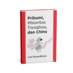 Pribumi, Minoritas Tionghoa, Dan China