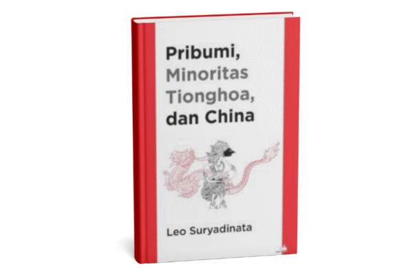 Pribumi, Minoritas Tionghoa, Dan China